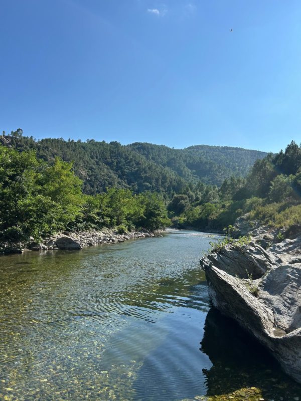 Cevennes