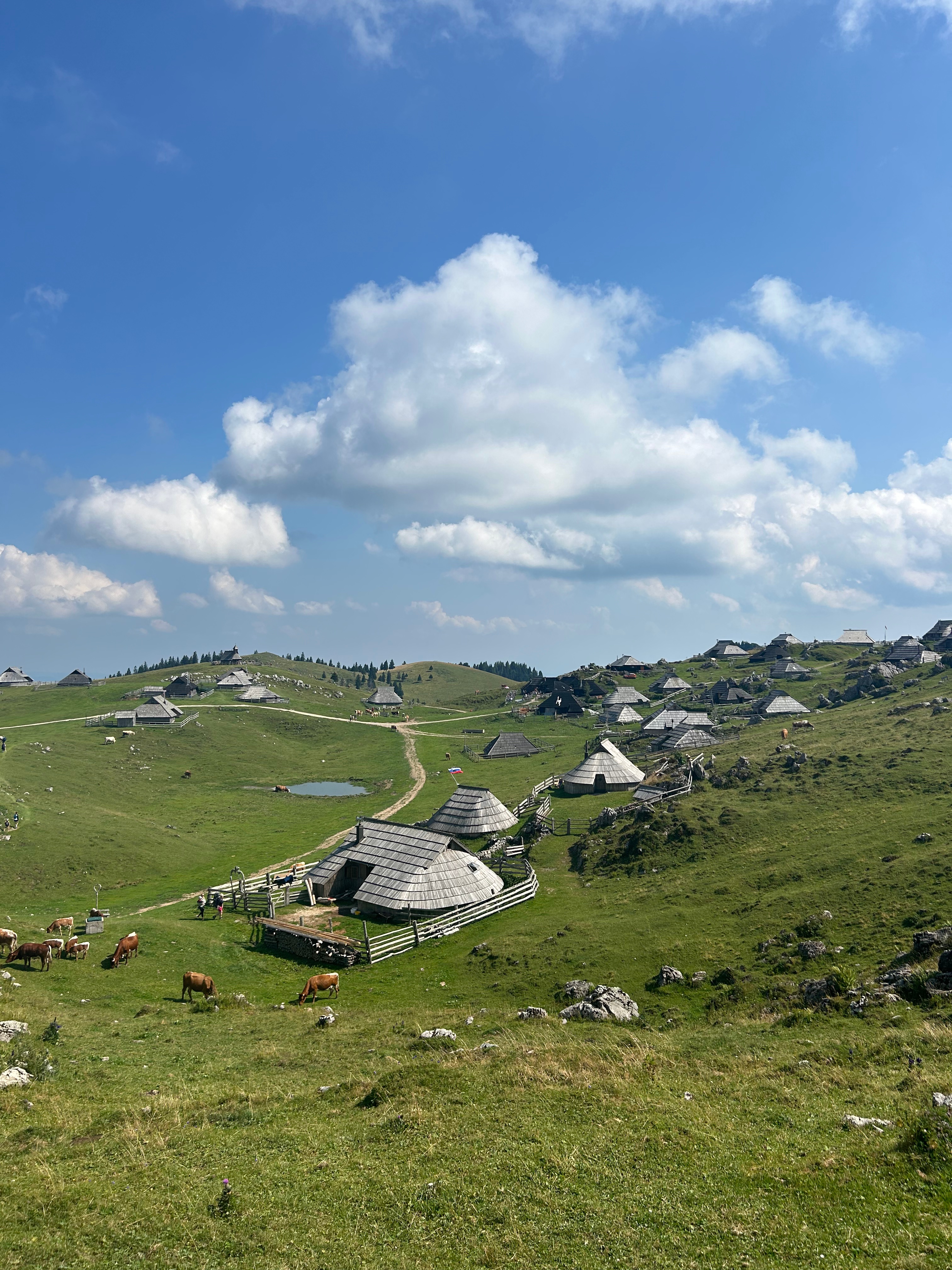 Velika Plenina