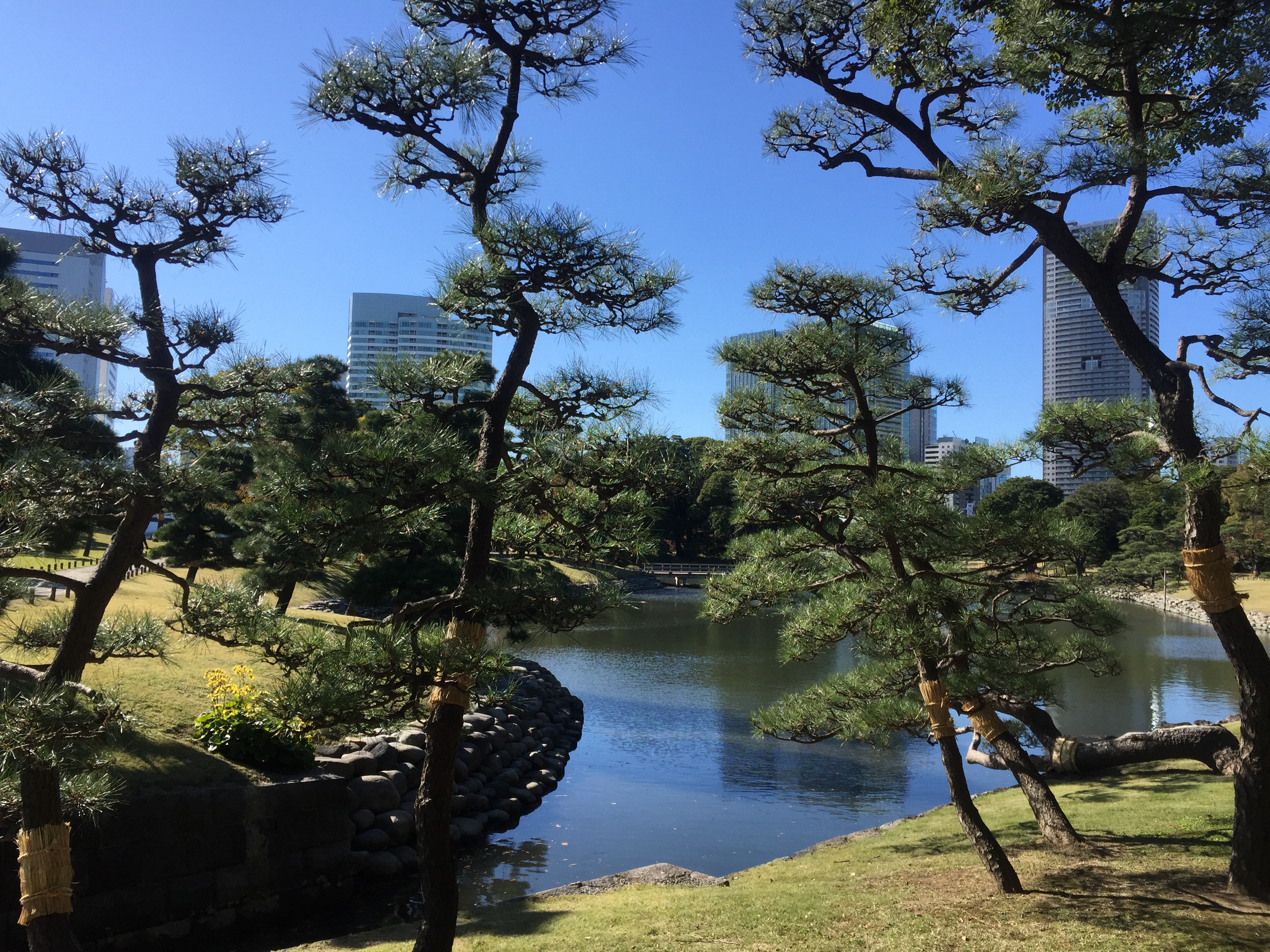 Parc Ueno