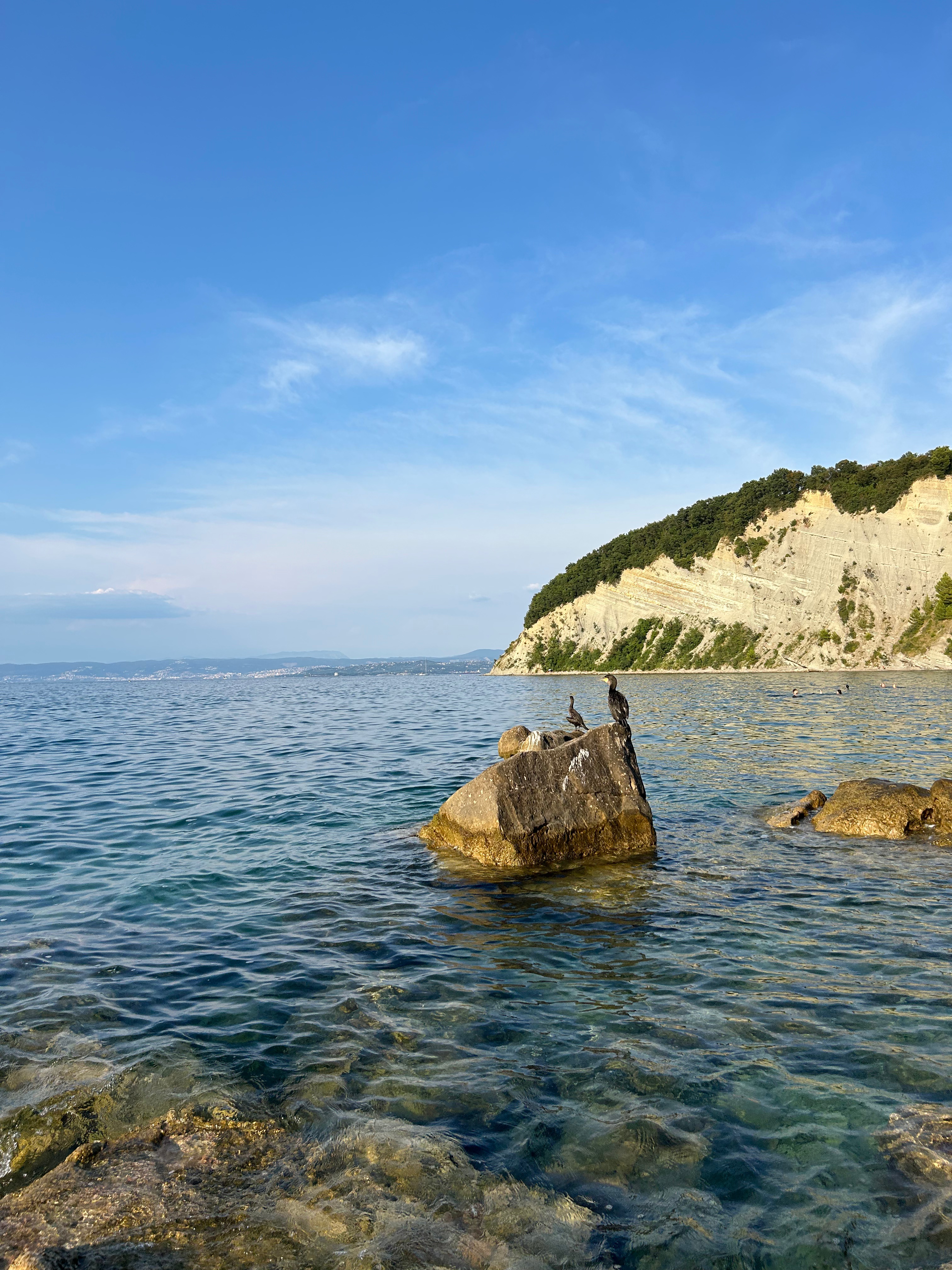 piran koper