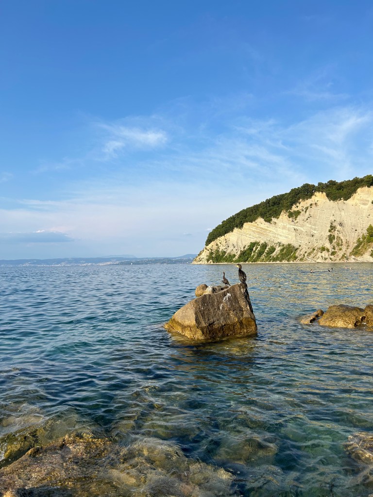 piran koper