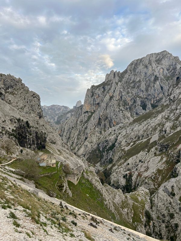 Picos de Europa