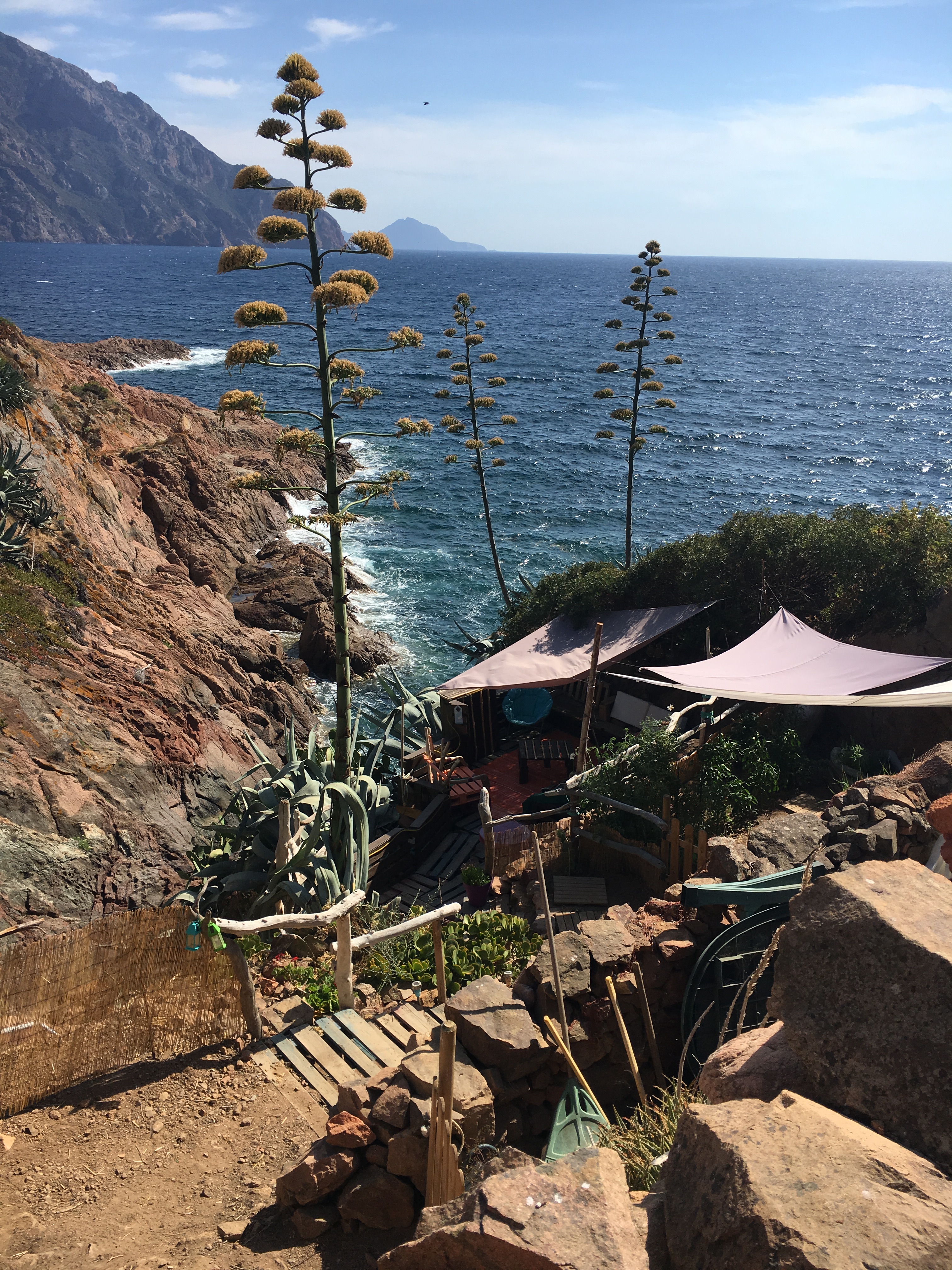 Reserve Scandola