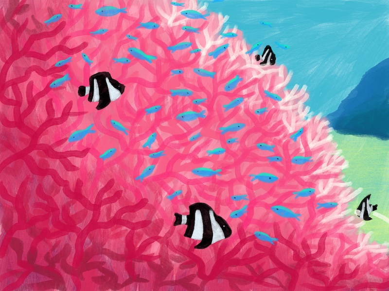 Poissons